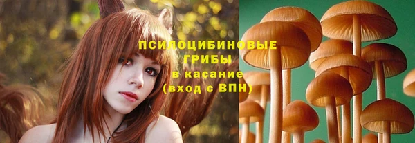 ешки Покровск