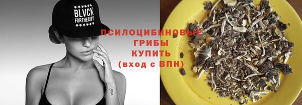 твердый Пересвет