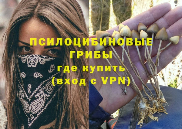твердый Пересвет