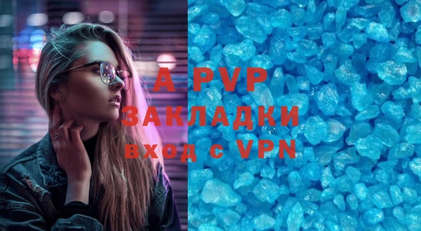 твердый Пересвет